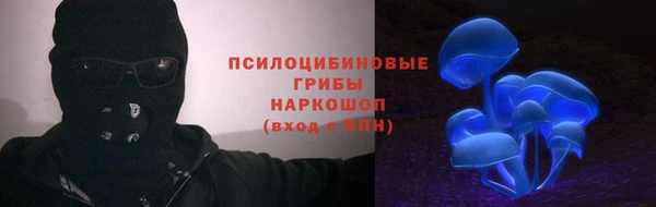 ГАЛЛЮЦИНОГЕННЫЕ ГРИБЫ Алексин