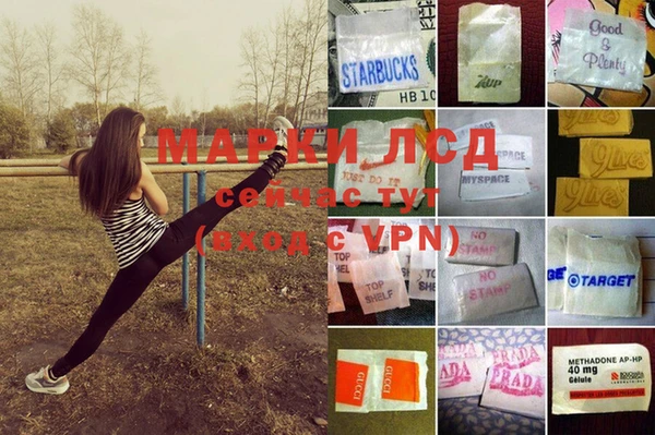 ПСИЛОЦИБИНОВЫЕ ГРИБЫ Алексеевка