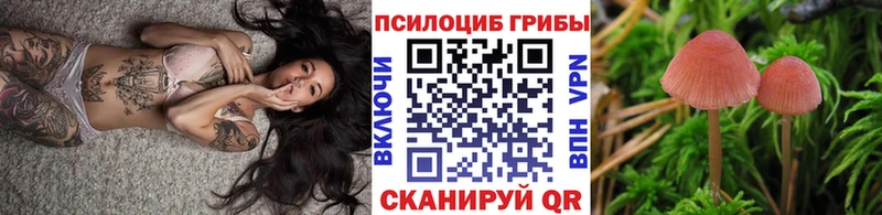 Галлюциногенные грибы Cubensis  hydra как войти  Ивангород  даркнет наркотические препараты  как найти закладки 